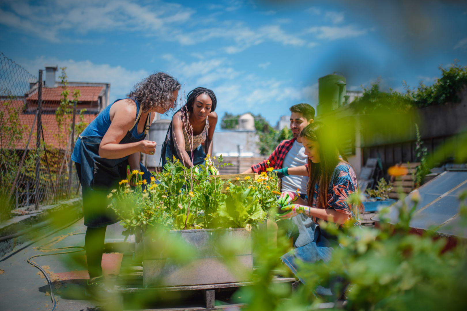 People working together in a community garden (photo credit: Canva)