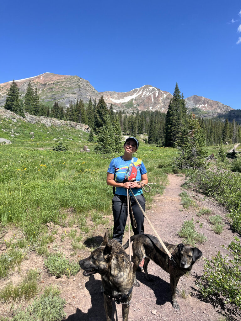 a picture of someone on a hike with two dogs